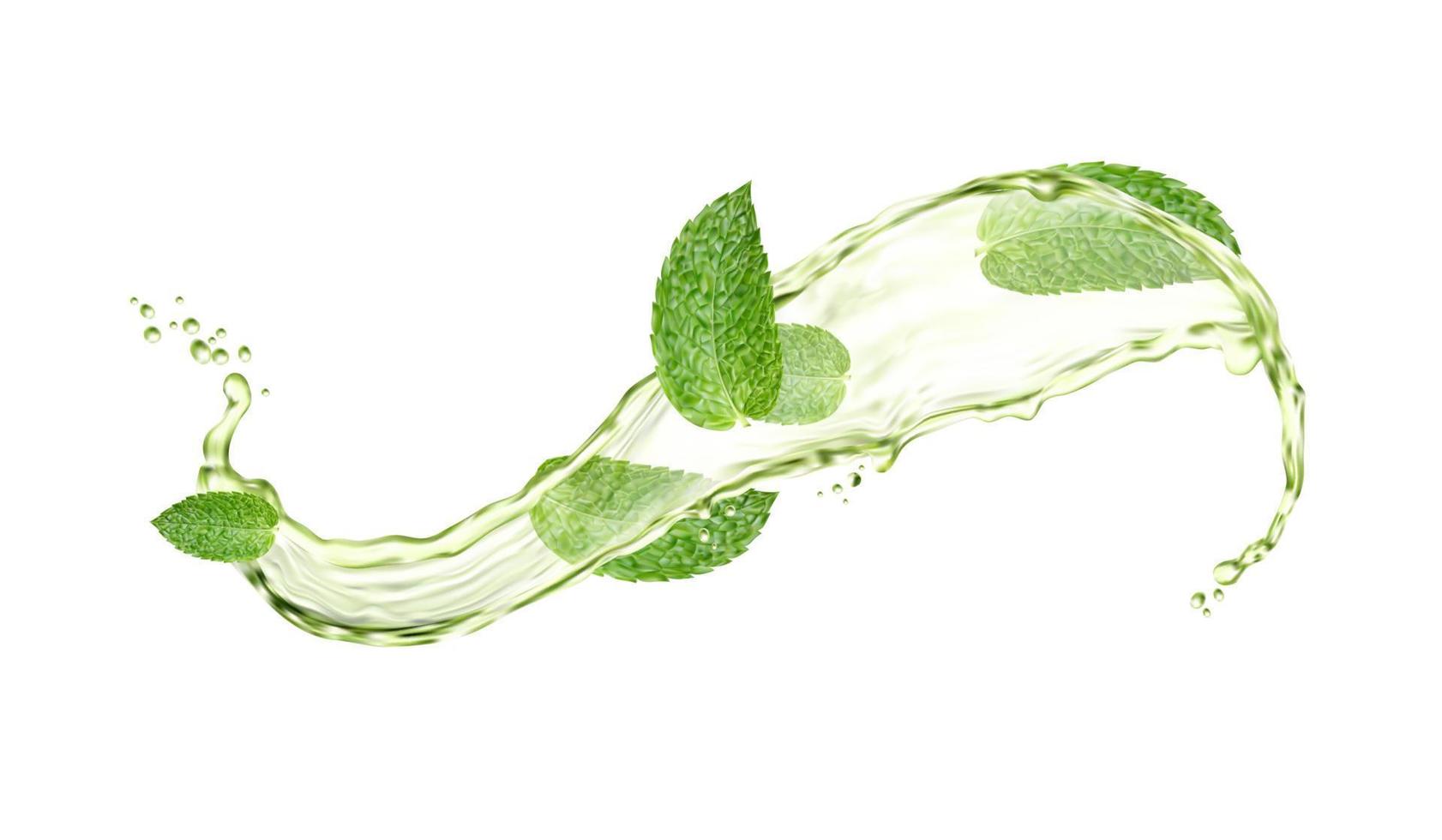 Grün Kräuter- Tee Spritzen und Tropfen mit Minze Blätter vektor