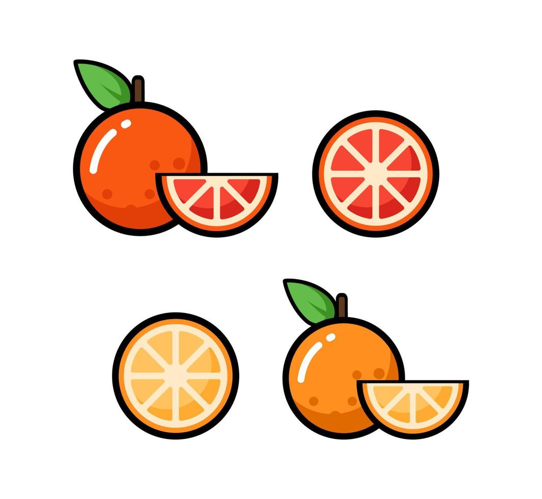 Vektor Symbol Illustration. bunt Orange und Grapefruit. isoliert auf Weiß Hintergrund.