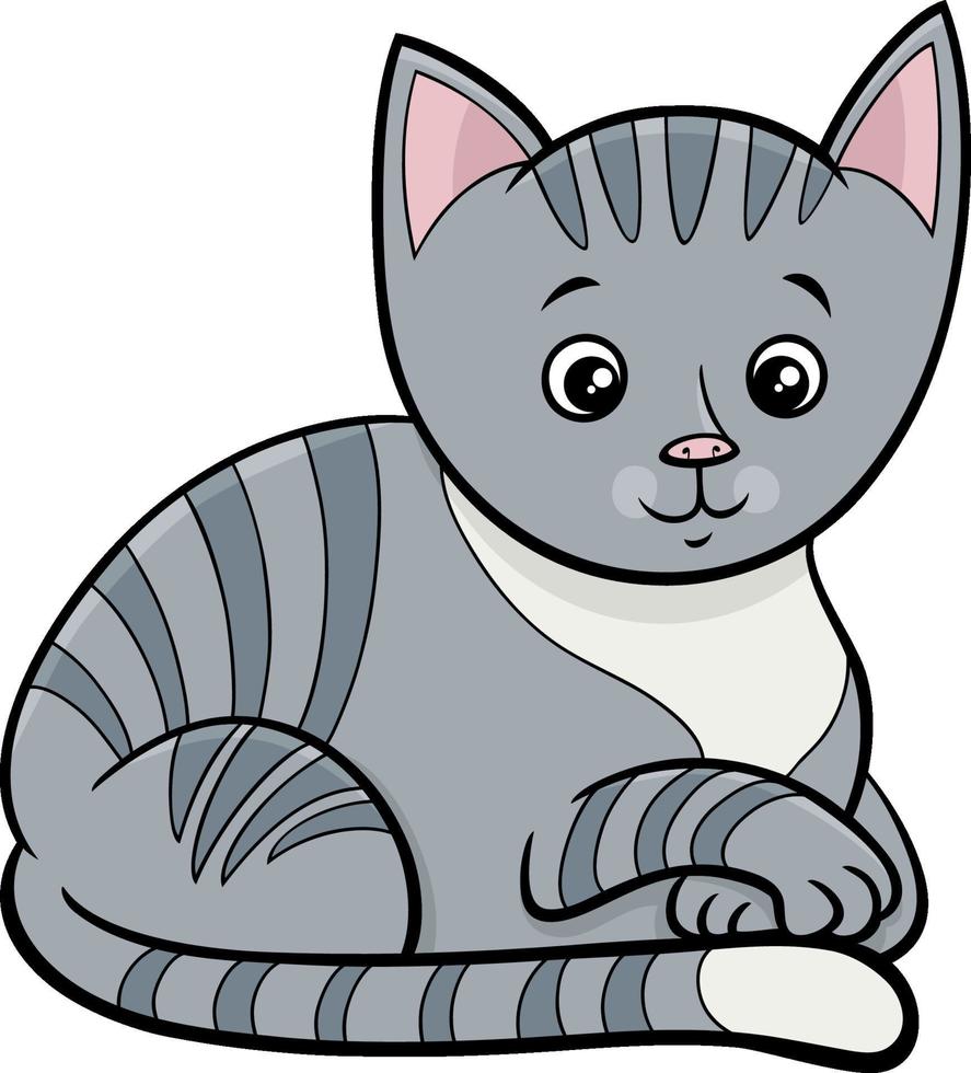 Tabby Katze oder Kätzchen Cartoon Tier Charakter vektor