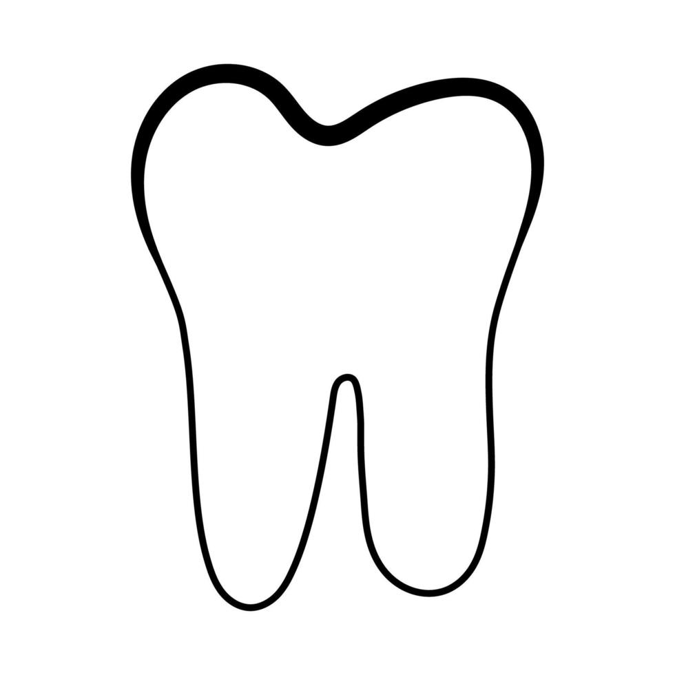 anatomisch gestalten von Dental Dentin Emaille Fruchtfleisch, Vektor Struktur von Zähne mit Logo zum Dental Klinik