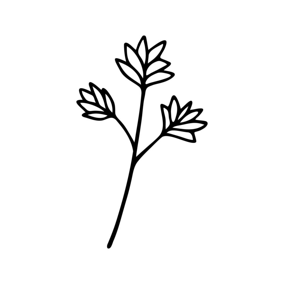 hand dragen ört, blommig ClipArt. ett linje klotter vektor