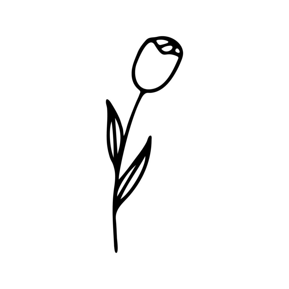 hand dragen ört, blommig ClipArt. ett linje klotter vektor