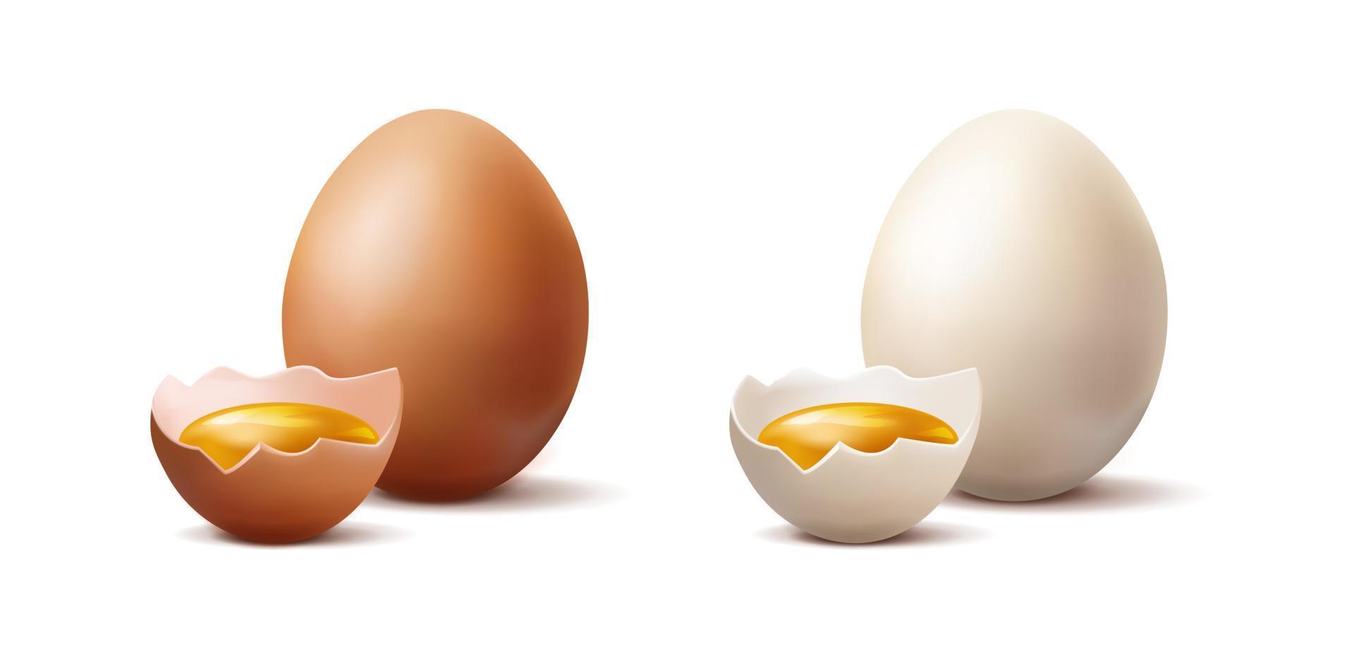 3d realistisk vektor ikon illustration. uppsättning av vit och brun organisk kyckling ägg och halv av bruten ägg med ägg äggula inuti. isolerat på vit bakgrund.
