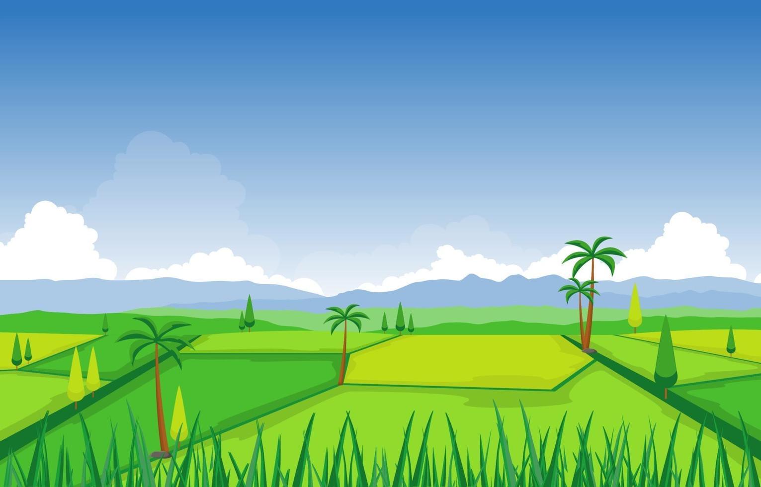 risfältfält redo för skördillustration vektor