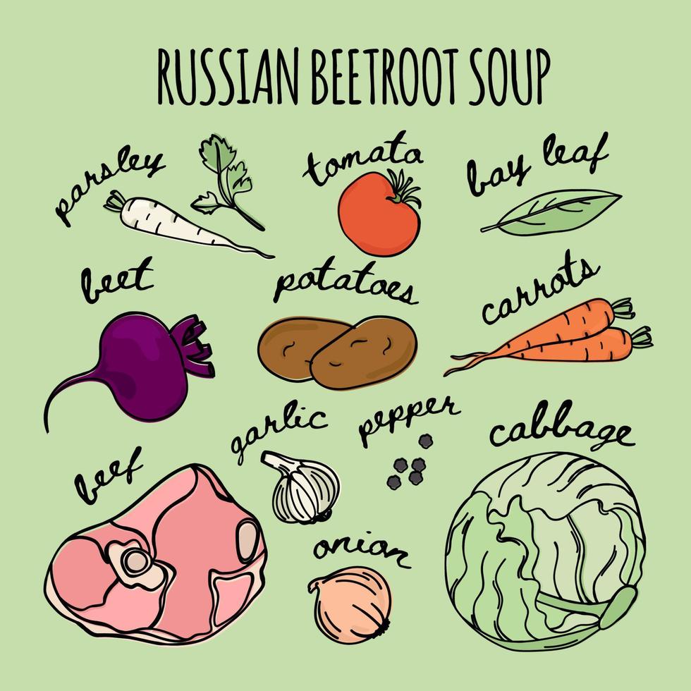 Russisch Rote Beete Suppe Küche Borscht Rezept Illustration einstellen vektor