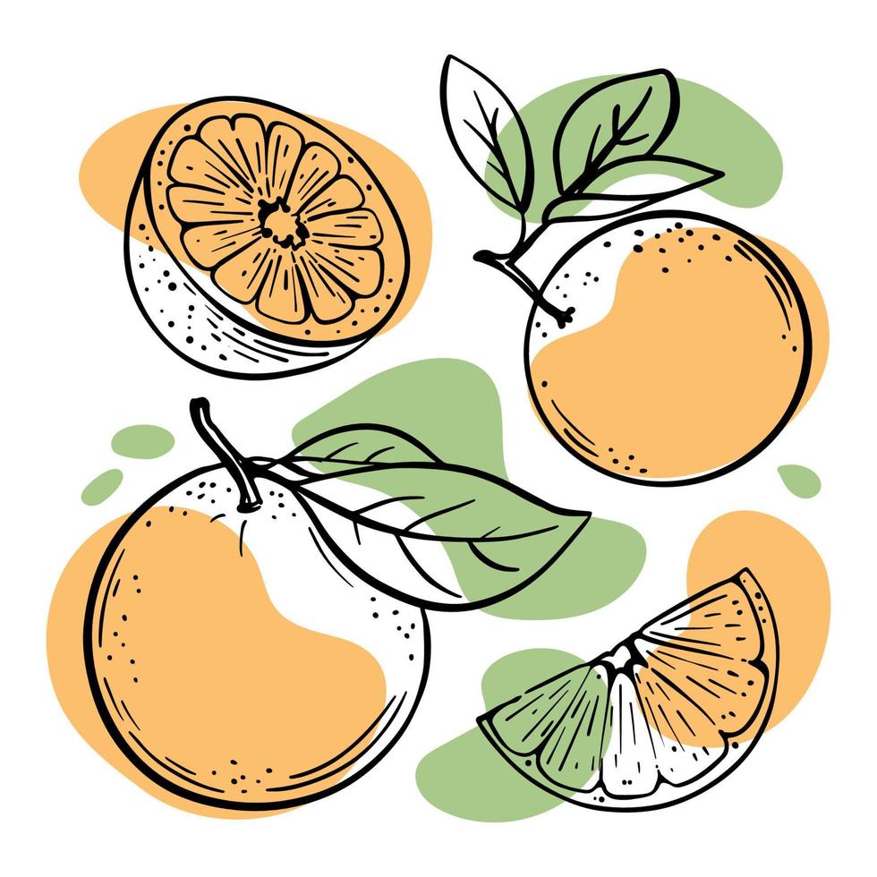 Orange köstlich Zitrusfrüchte Obst skizzieren Vektor Illustration einstellen
