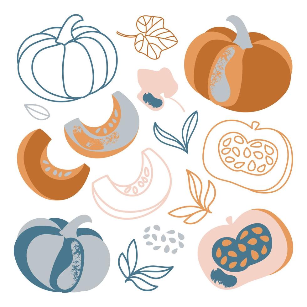 Kürbis Herbst Gemüse Hand gezeichnet Vektor Illustration einstellen