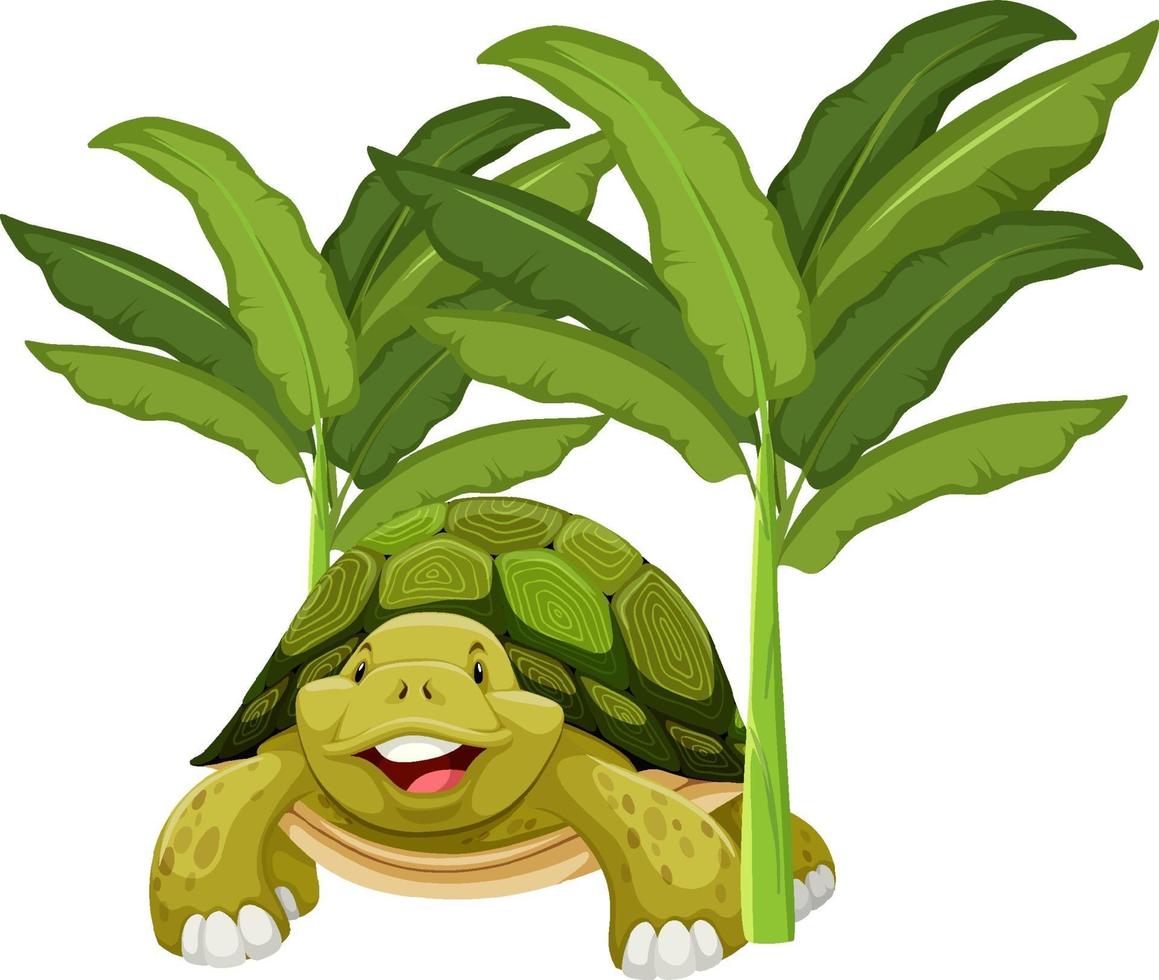 sköldpadda seriefigur med isolerade bananträd vektor
