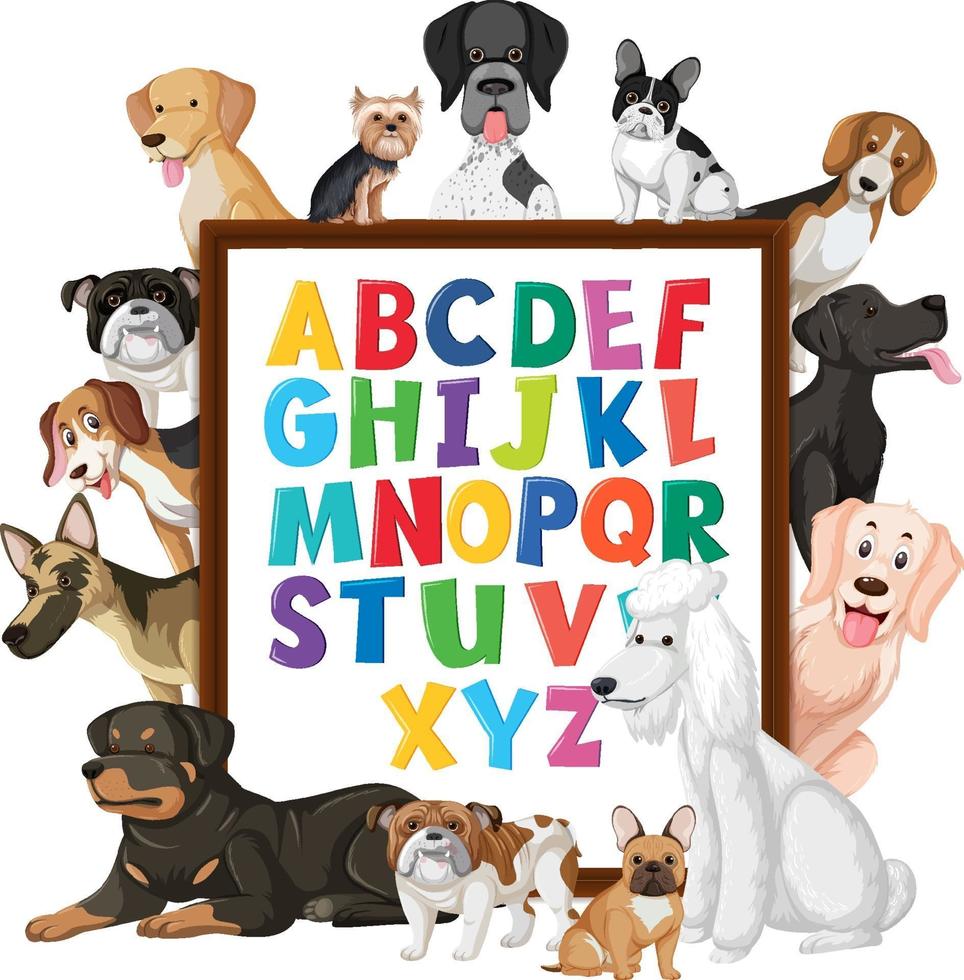 az alfabetstavla med många olika typer av hundar vektor