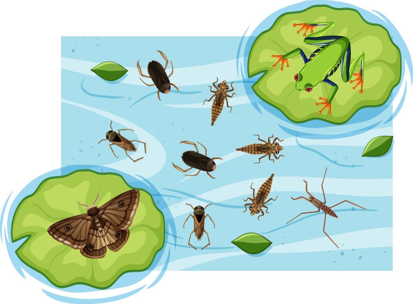 ovanifrån av vattenlevande insekter i dammen vektor