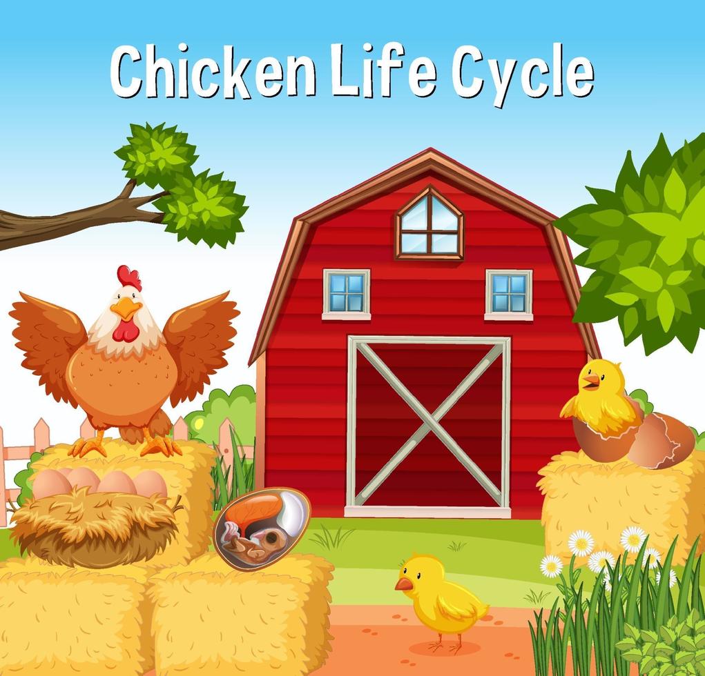Hühnerlebenszyklus-Schriftart in der Farmszene vektor