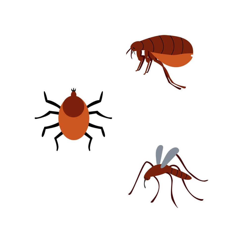 loppa. mygga. kvalster. vektor illustration av insekter. blodsugande uppsättning.