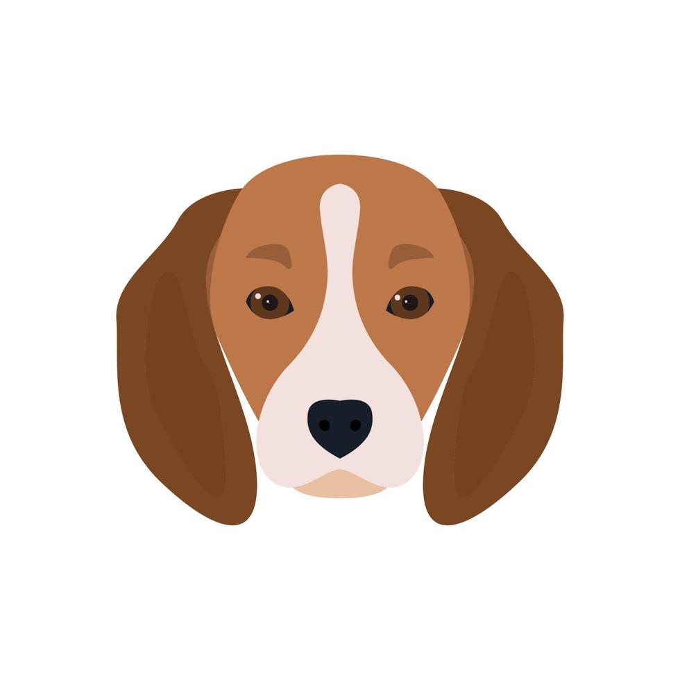 schöner Kopf bärtiger Hund Beagle. Vektorillustration. vektor