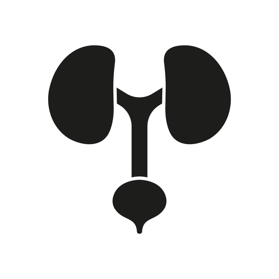 anatomisch gesund intern Organe. Mensch Urin- System Silhouette Symbol. Urologie Krankheit Symbol. Gesundheit Blase und Niere Glyphe Piktogramm. isoliert Vektor Illustration.