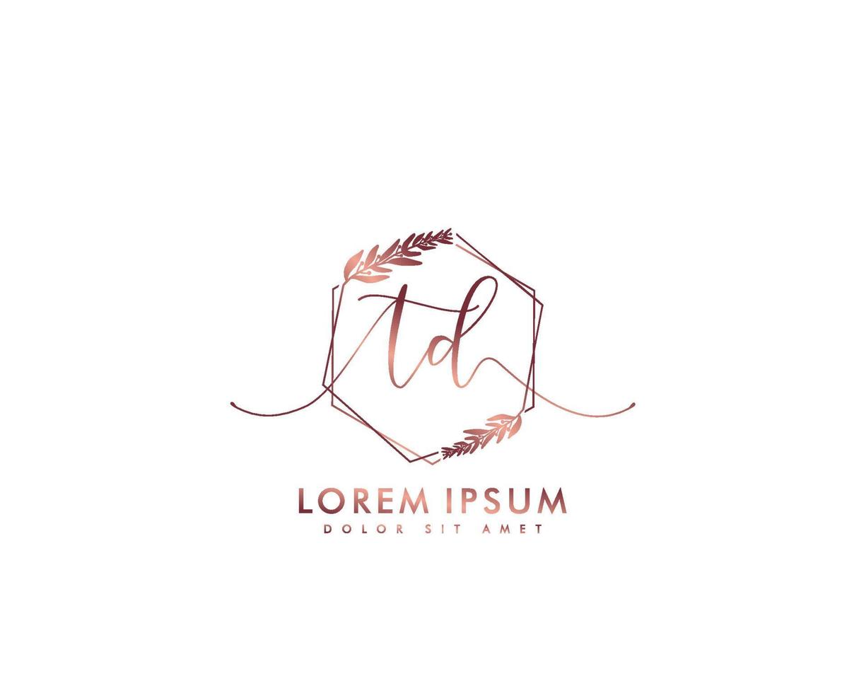 första td feminin logotyp skönhet monogram och elegant logotyp design, handstil logotyp av första signatur, bröllop, mode, blommig och botanisk med kreativ mall vektor