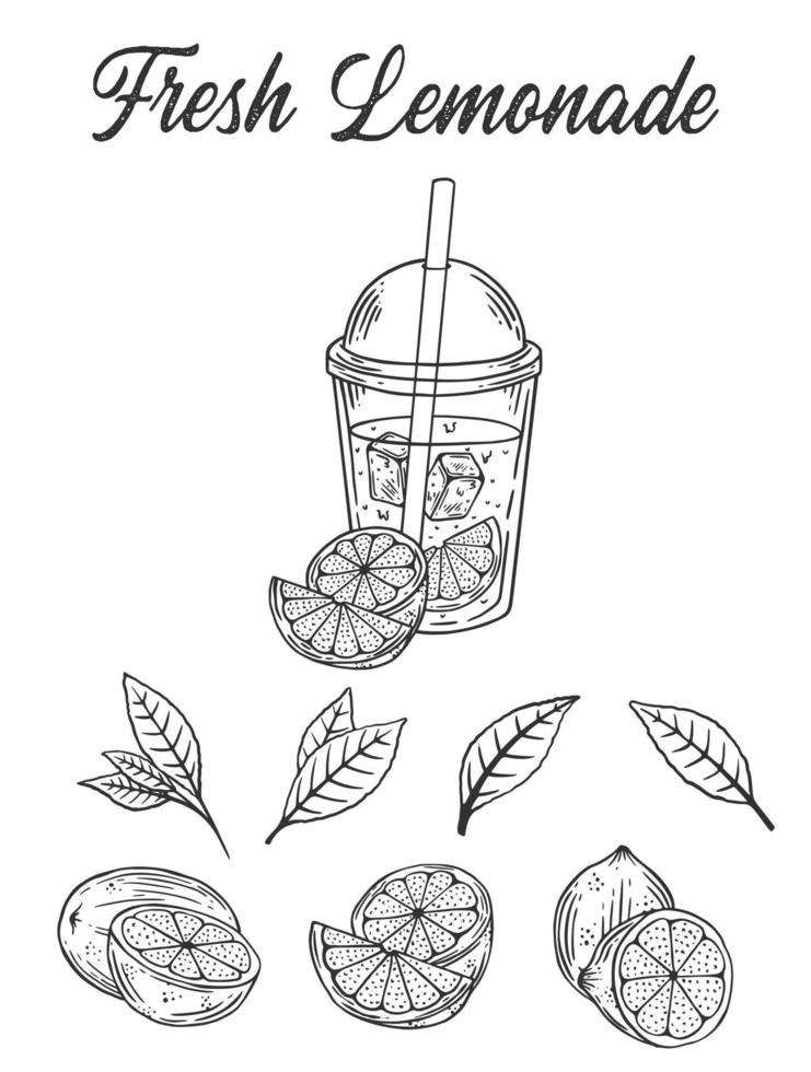Jahrgang Limonade skizzieren oder Vektor Hand gezeichnet Illustration Vektor