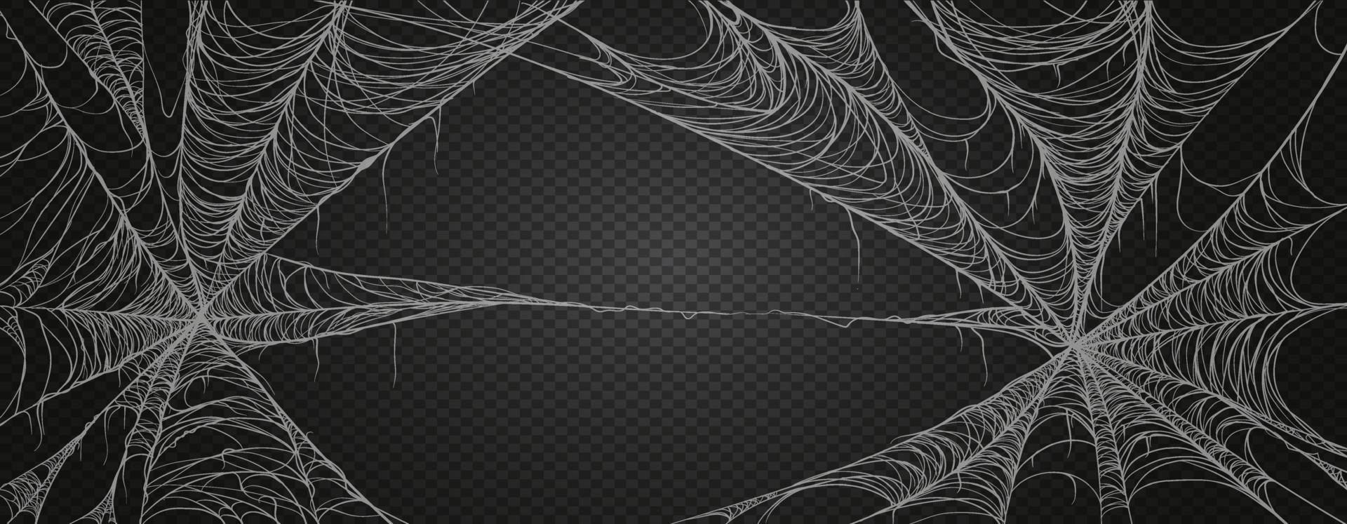 Spinnennetz für Halloween, gruselig, gruselig, Horror Dekor. Spinnennetz Realismus gesetzt. isoliert auf schwarzem Hintergrund. vektor