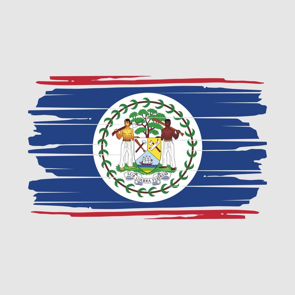 Pinselvektor mit Belize-Flagge vektor