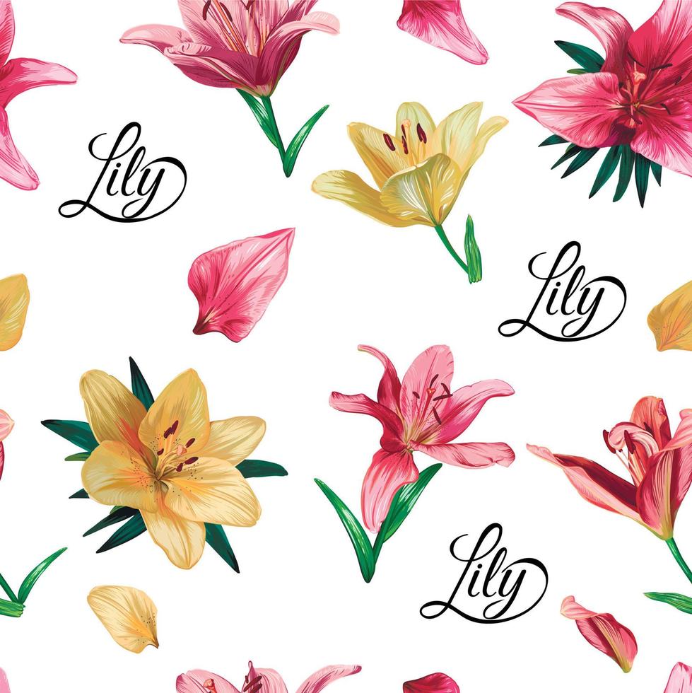 nahtlos Vektor Muster mit dekorativ realistisch Lilie Blumen auf Weiß Hand gezeichnet Hintergrund. Design zum Hintergrund, Verpackung Papier, Hintergrund, Stoff.
