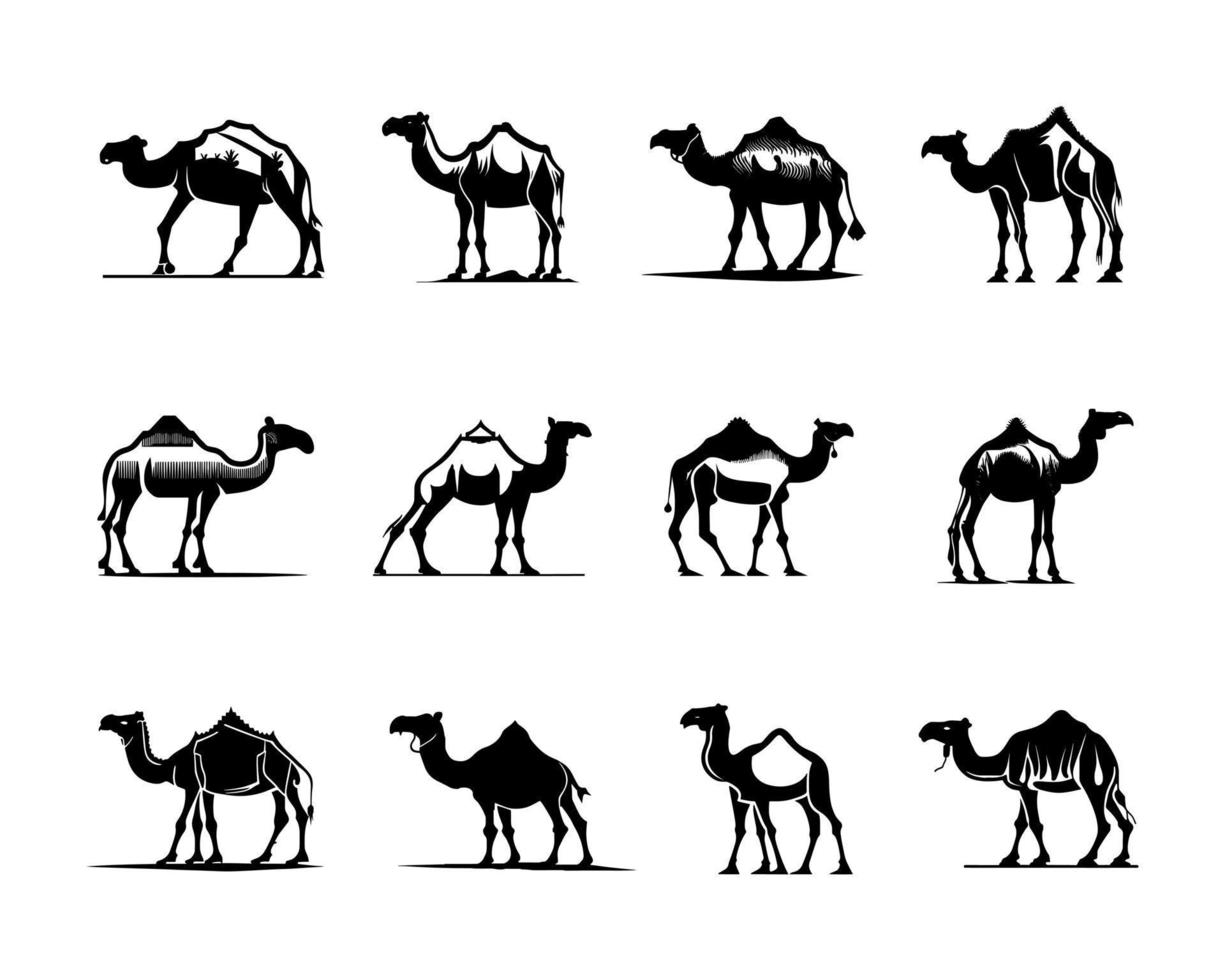 kamel silhuett uppsättning svart logotyp djur silhuetter ikoner kamel ryttare öken- handflatan silhuett vektor illustration