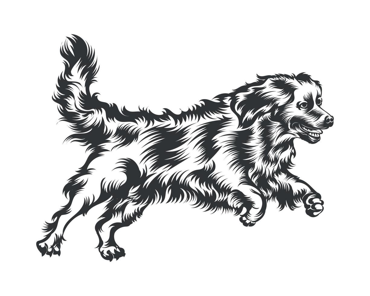 Berner berg hund vektor illustration, hund vektor svart på vit bakgrund