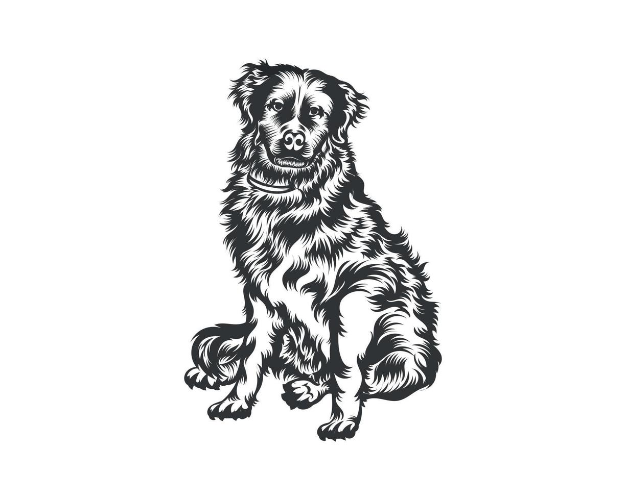 Berner Berg Hund Vektor Illustration, Hund Vektor schwarz auf Weiß Hintergrund