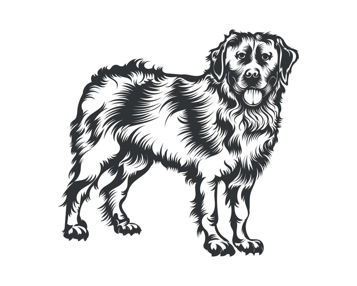 Berner berg hund vektor illustration, hund vektor svart på vit bakgrund