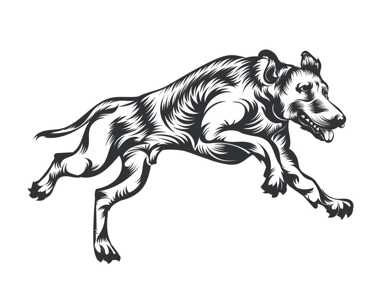 Dobermann Hund Rasse Vektor Illustration Weiß Hintergrund