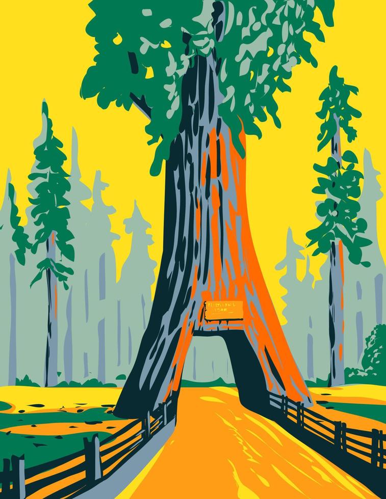 Leuchter Baum im Fahrt durch Baum Park innerhalb Redwood National Park Kalifornien wpa Poster Kunst vektor
