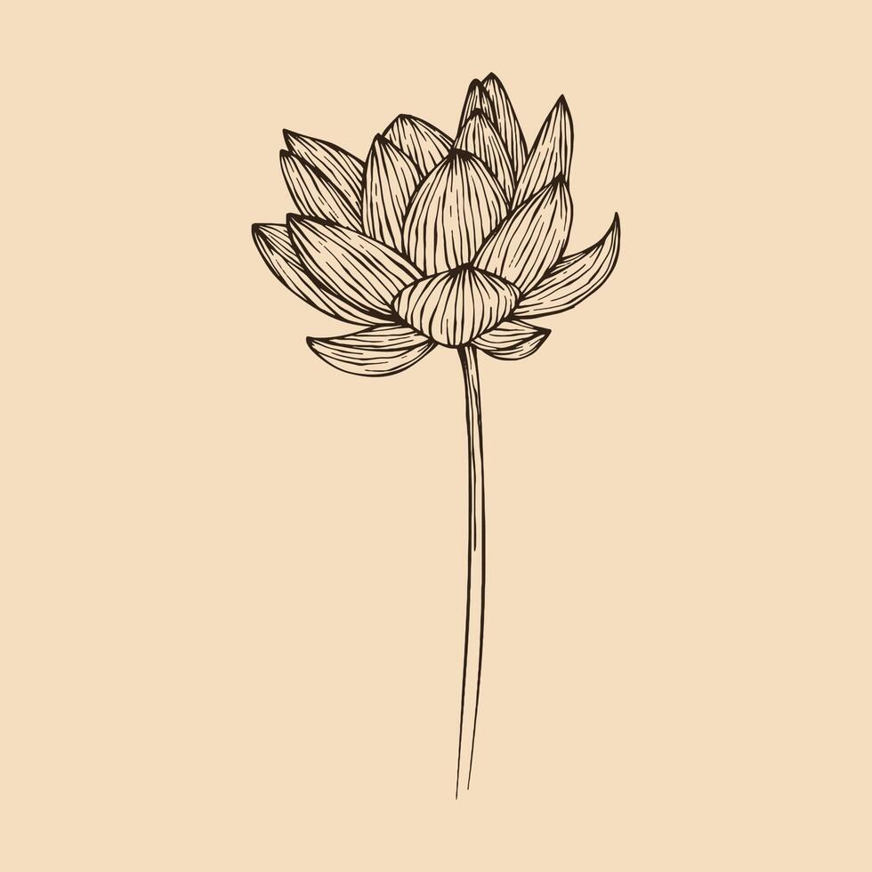 lotus blomma vektor illustration med linje konst