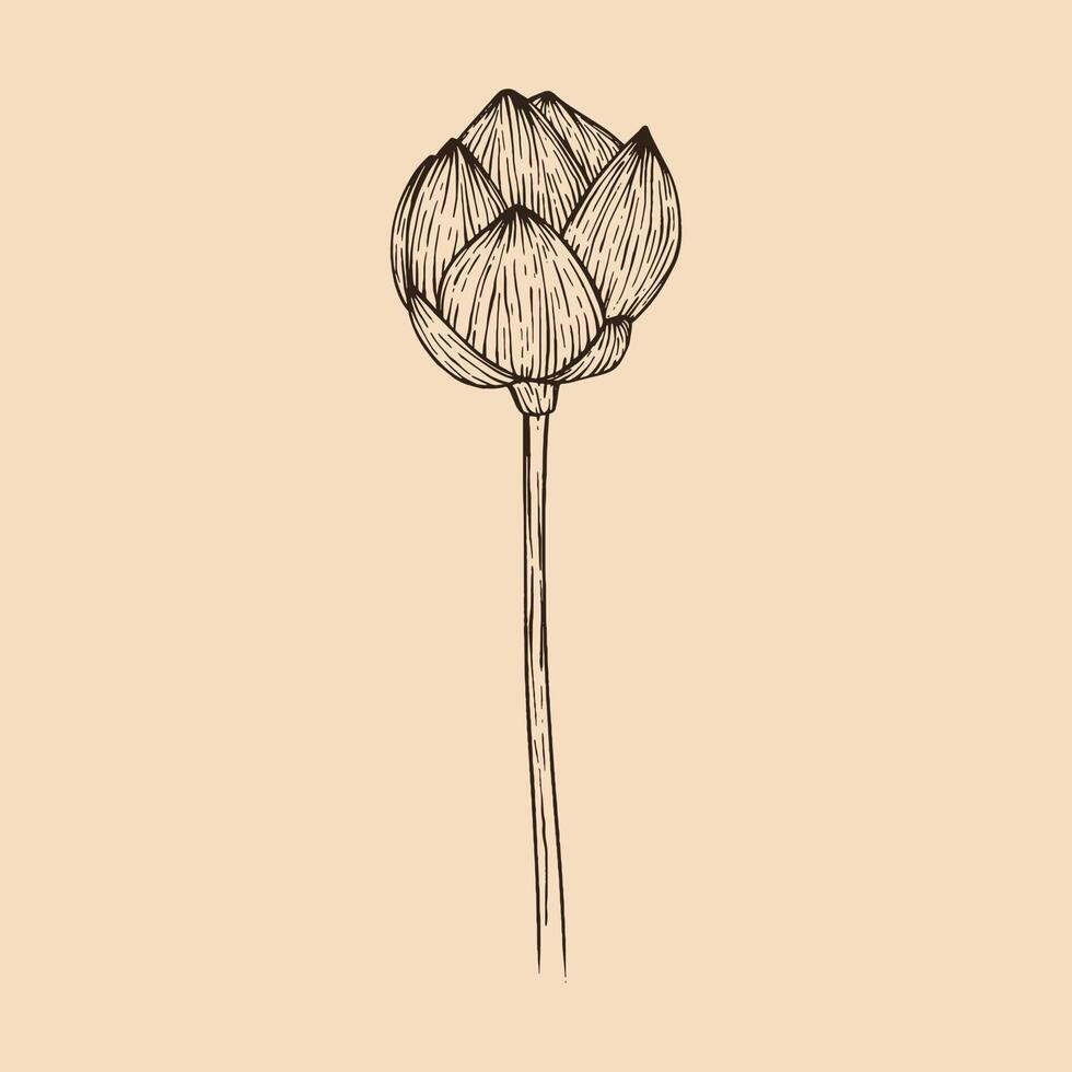 lotus blomma vektor illustration med linje konst