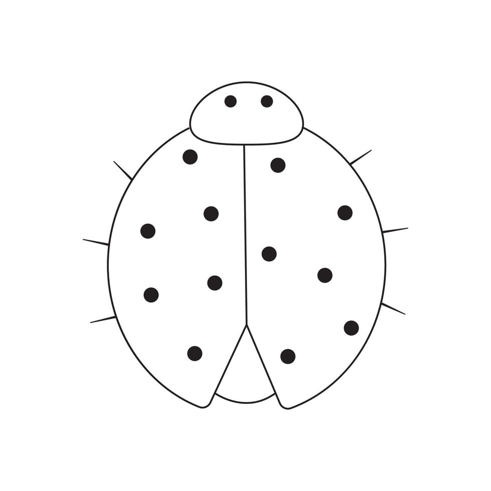 Hand gezeichnet Illustration von ein Marienkäfer vektor