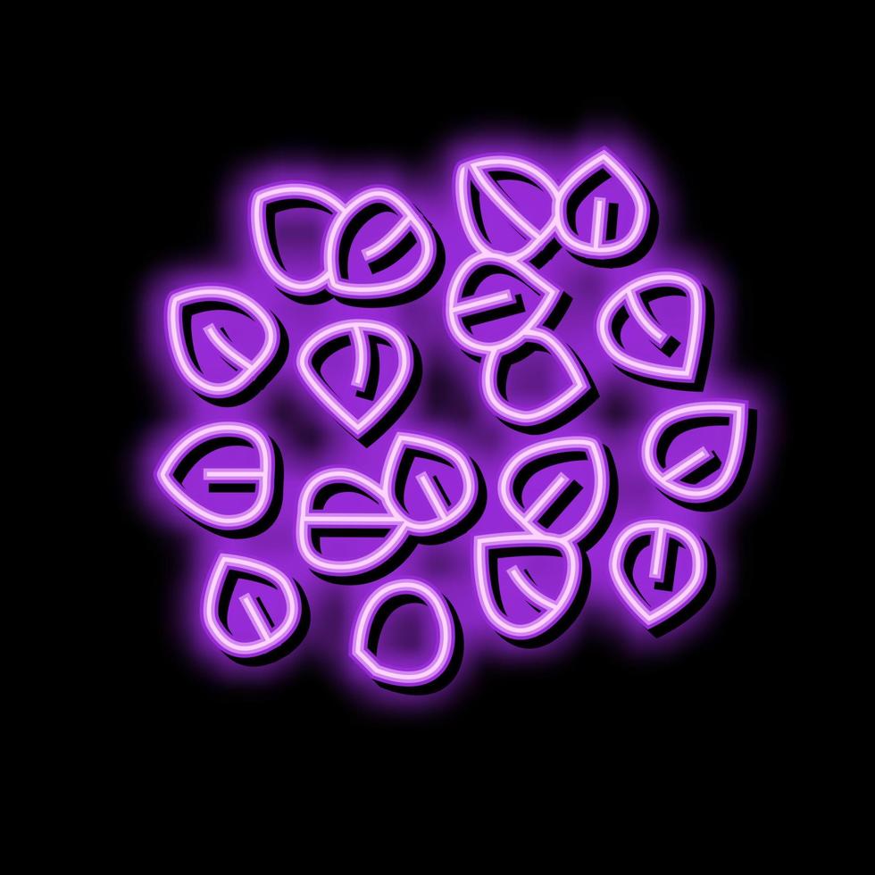 Buchweizen Korn gesund Neon- glühen Symbol Illustration vektor