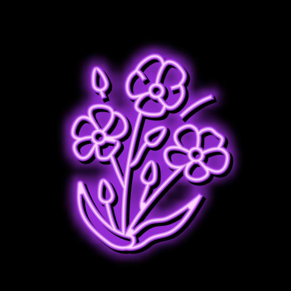 Linum Pflanze Essen Neon- glühen Symbol Illustration vektor