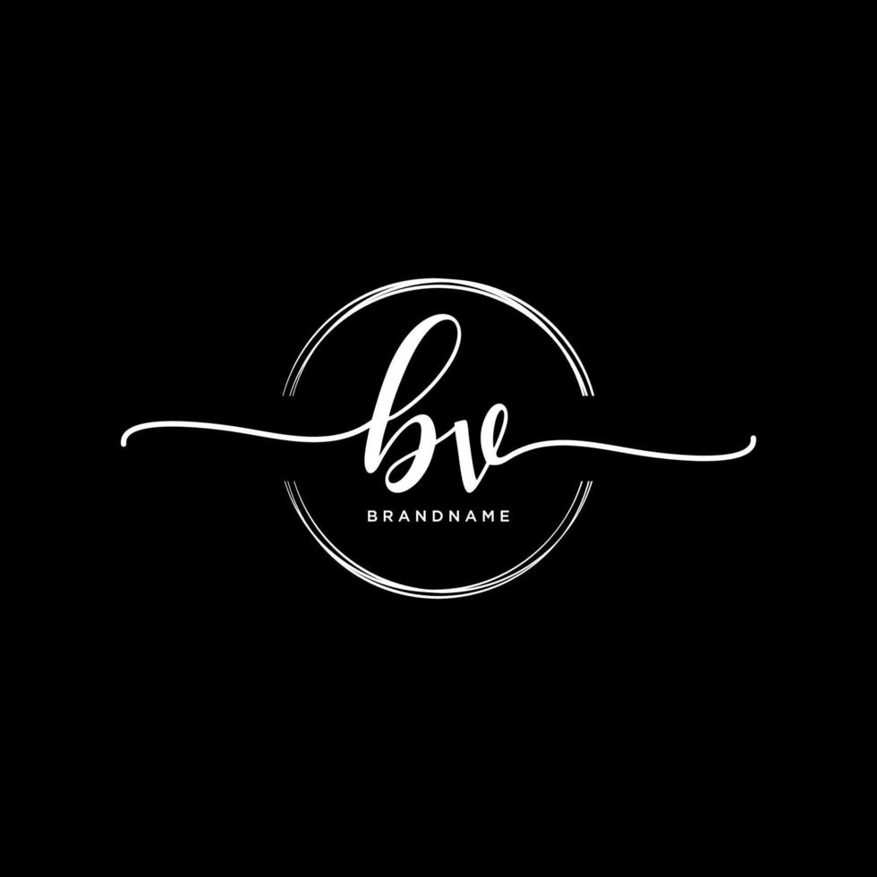 Initiale bv feminin Logo Sammlungen Vorlage. Handschrift Logo von Initiale Unterschrift, Hochzeit, Mode, Schmuck, Boutique, Blumen- und botanisch mit kreativ Vorlage zum irgendein Unternehmen oder Geschäft. vektor