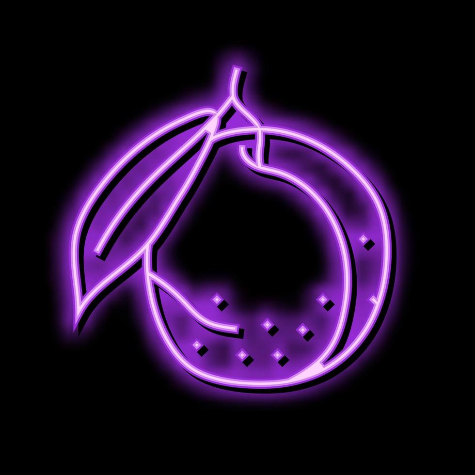 Pflaume lila Blatt Neon- glühen Symbol Illustration vektor