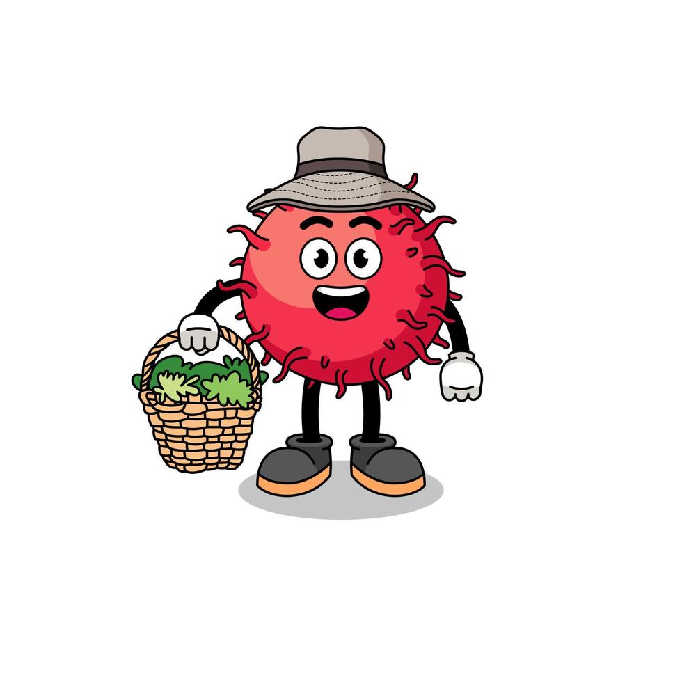 Charakter Illustration von Rambutan Obst wie ein Kräuterkenner vektor