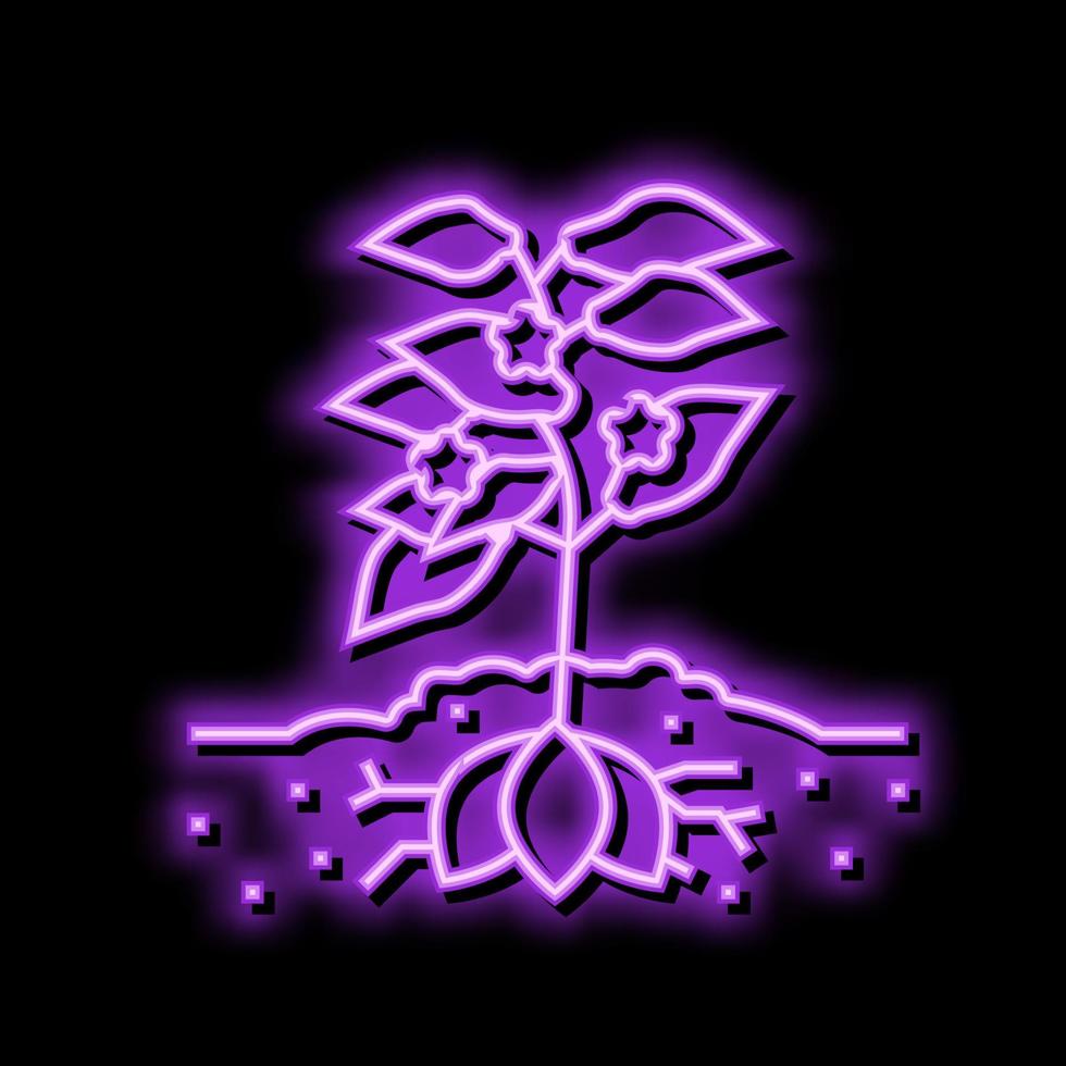 Pflanze Süss Kartoffel Neon- glühen Symbol Illustration vektor