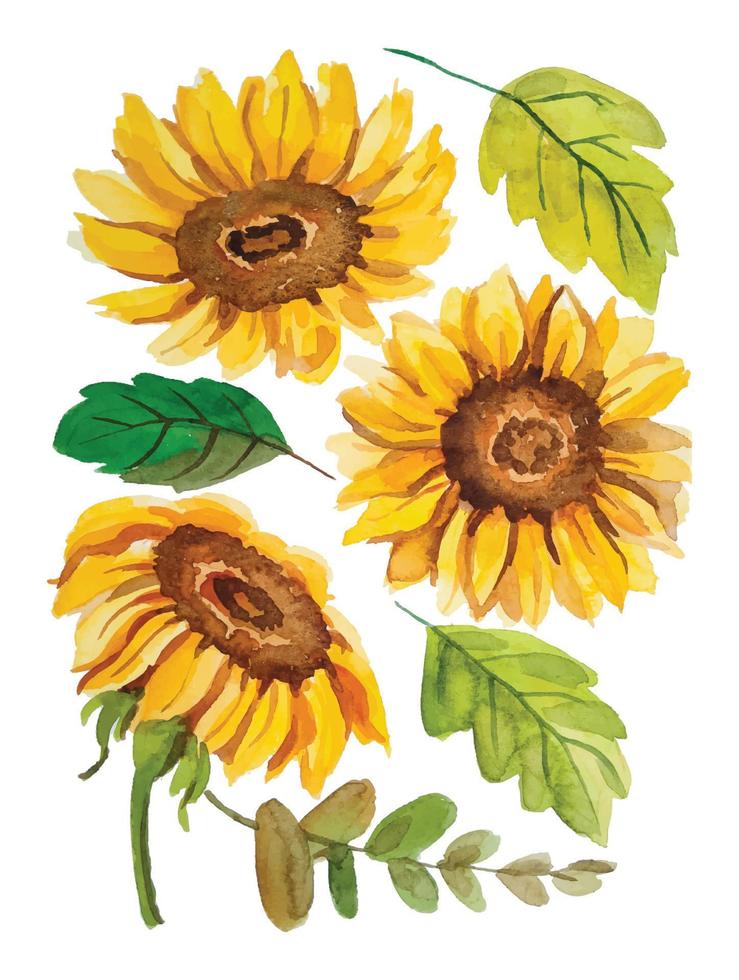 Aquarell Sonnenblume Elemente Clip Art vektor