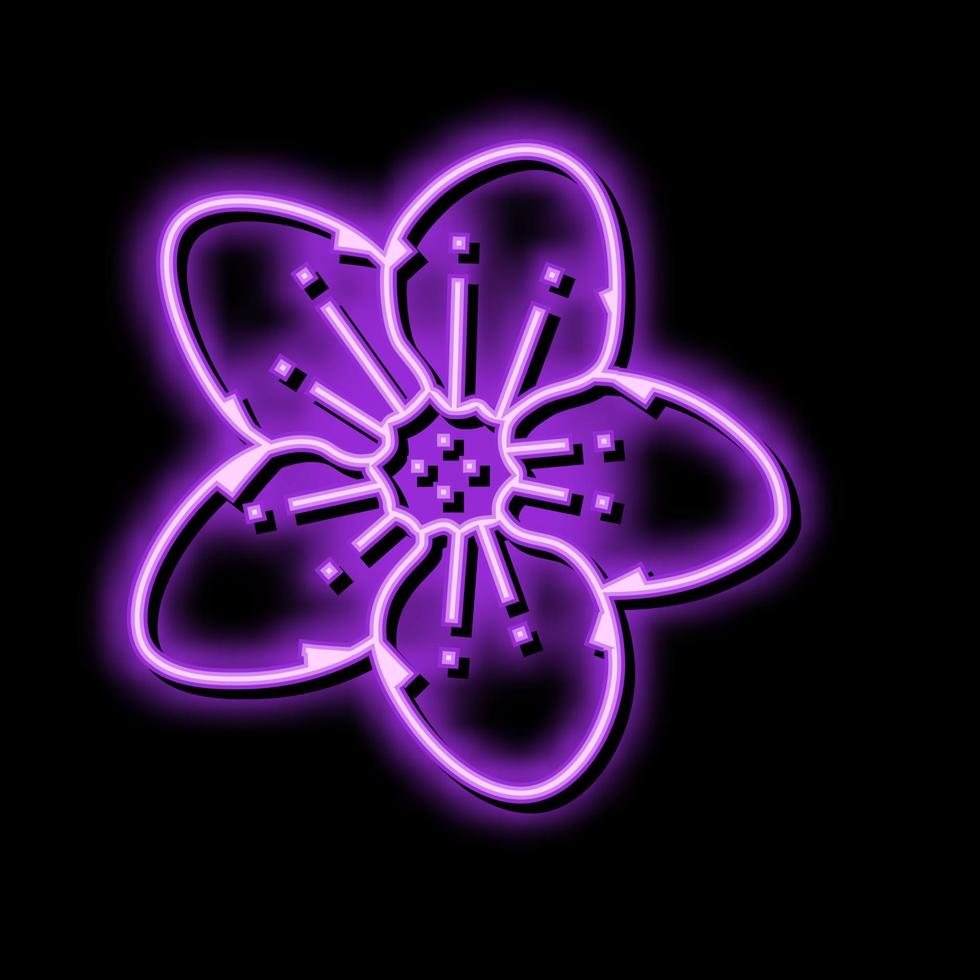 sakura körsbär blomma vår neon glöd ikon illustration vektor