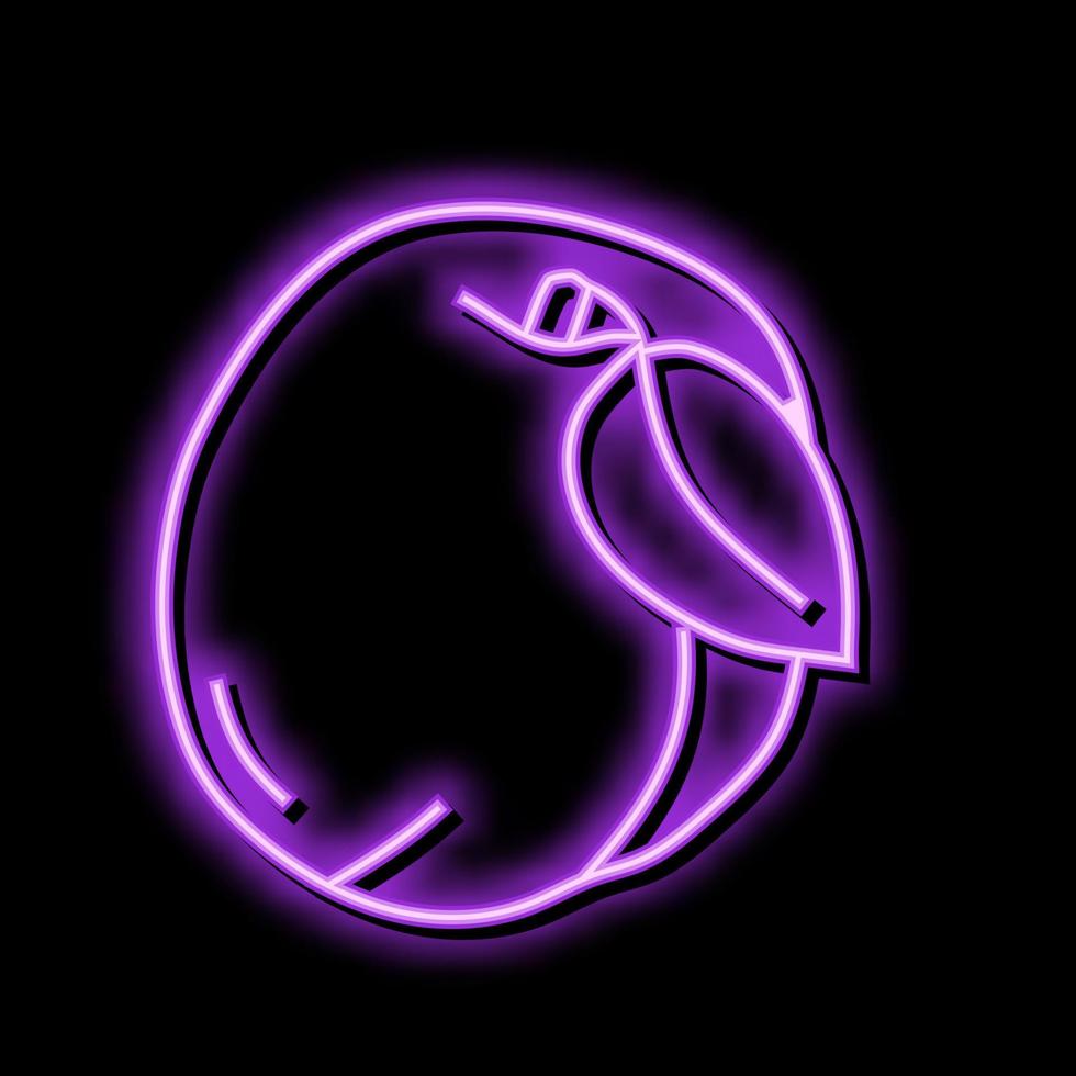 Blatt Aprikose Obst Neon- glühen Symbol Illustration vektor