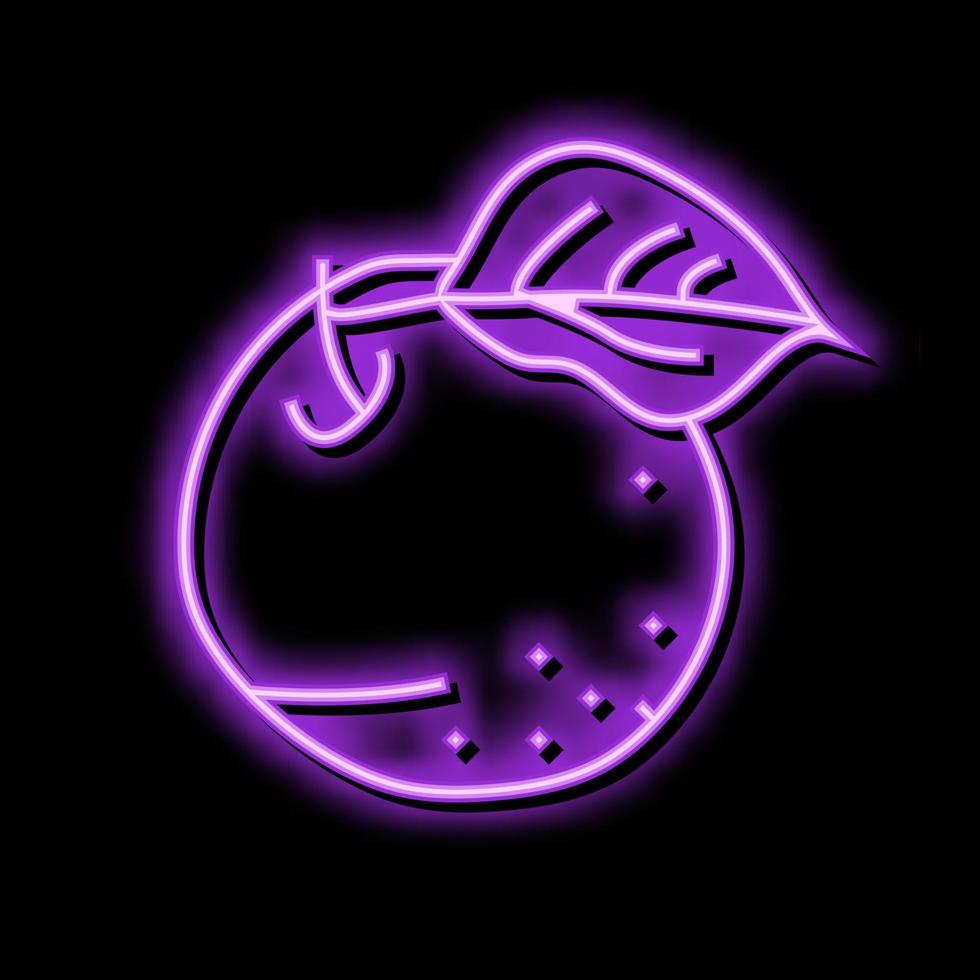 Grün reif Apfel Obst Neon- glühen Symbol Illustration vektor