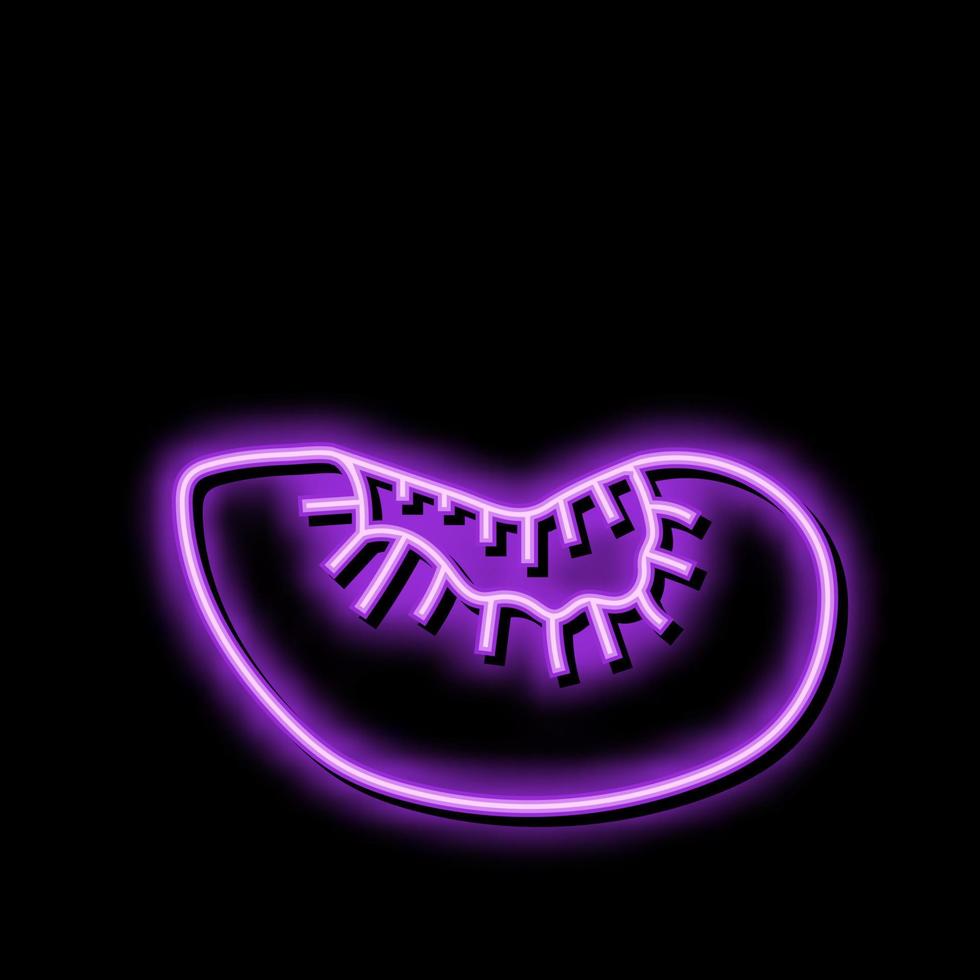 Pflaume Scheibe Obst Neon- glühen Symbol Illustration vektor