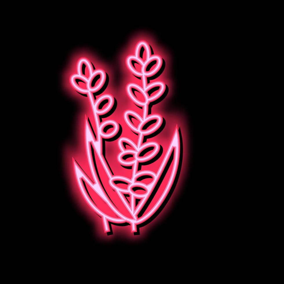 Lavendel Blume Aromatherapie Neon- glühen Symbol Illustration vektor