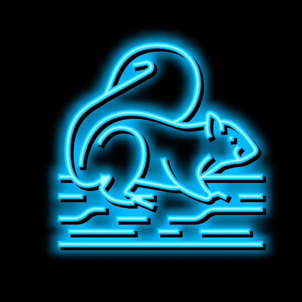 Eichhörnchen wild Tier Neon- glühen Symbol Illustration vektor