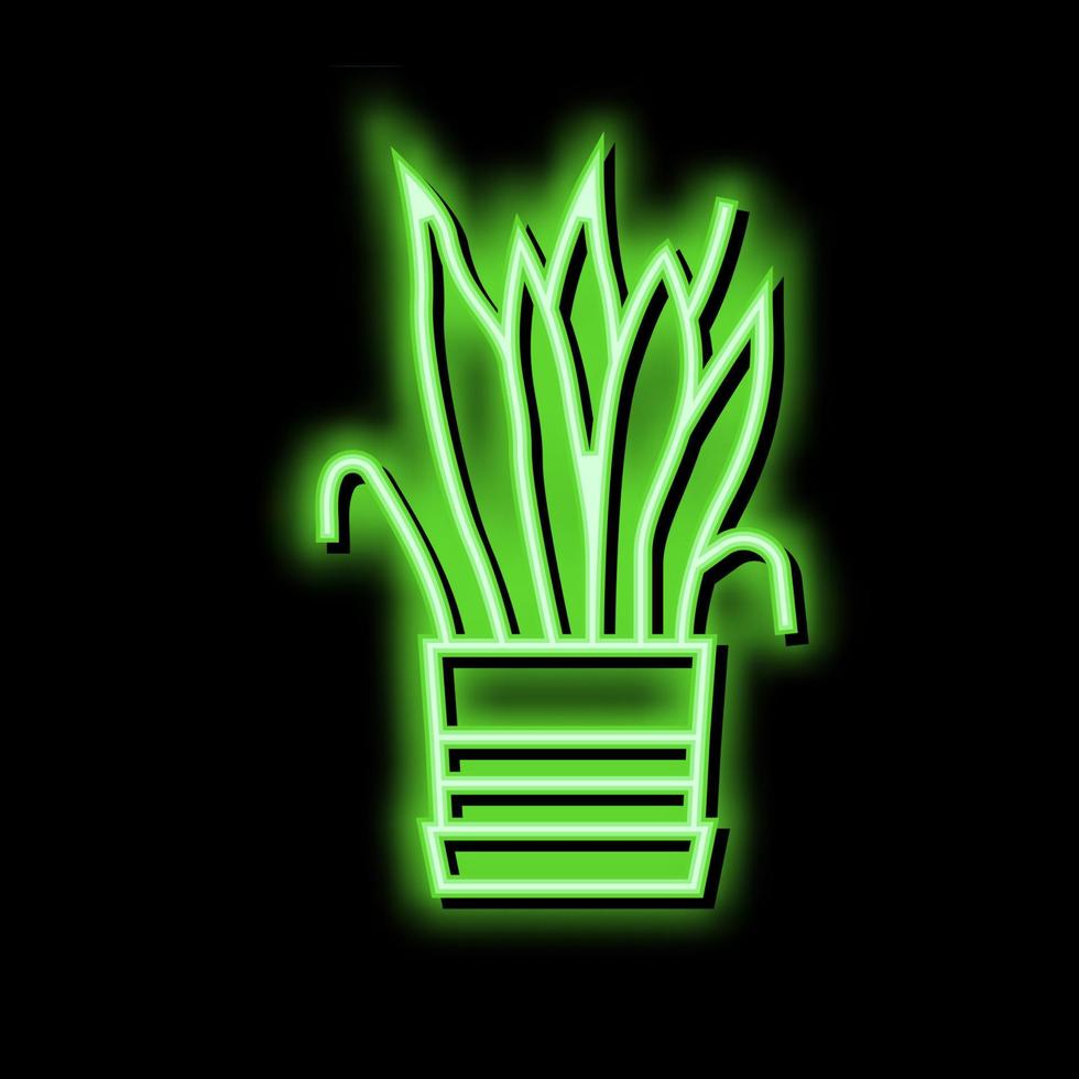 Trocknen Haus Pflanze Neon- glühen Symbol Illustration vektor