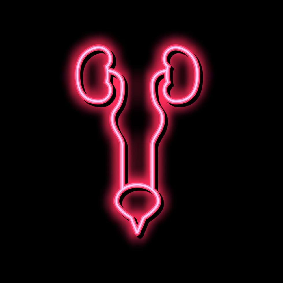 urin- systemet neon glöd ikon illustration vektor