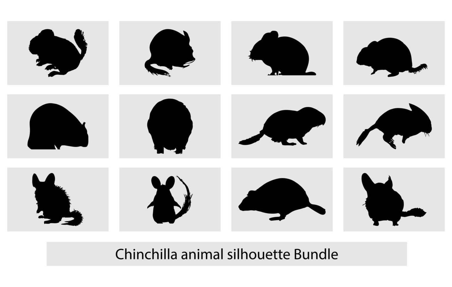 Chinchilla Tier Silhouette einstellen frei, Vektor Silhouetten von ein Chinchilla, Silhouette, Illustration, isoliert, Tier, Chinchilla