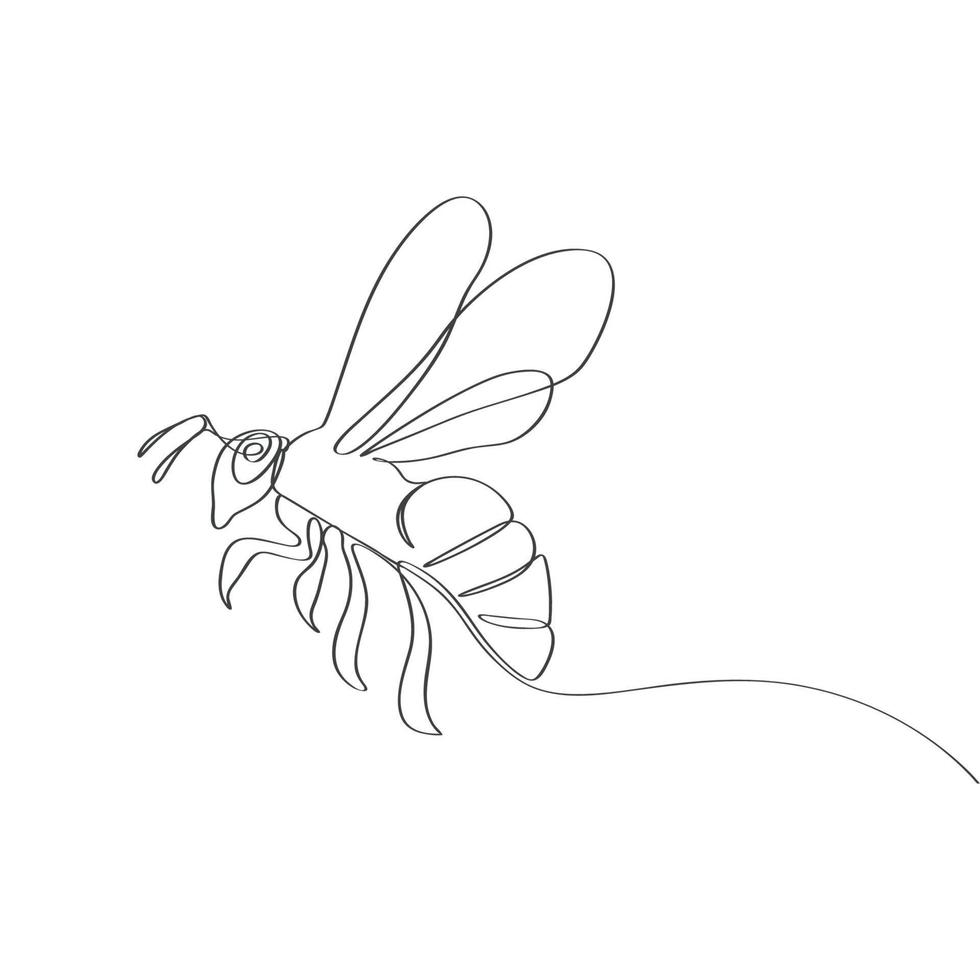 Honig Biene Hand gezeichnet geht weiter Linie Kunst Zeichnung vektor
