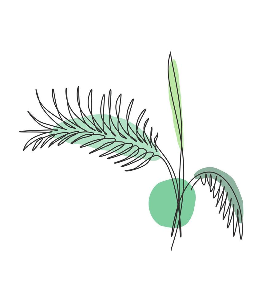 en enda linje ritning palm faux areca blad vektor illustration. tropiska lövstil, abstrakt blommönster koncept för affisch, hemväggdekoratryck. modern kontinuerlig linje grafisk ritdesign